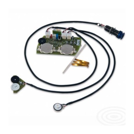 Schertler DUAL3084SET Set Pastillas C-DYN + Bluestick Para Guitarra Acústica