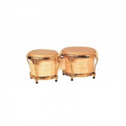 BONGOS STRONG BS101MAN