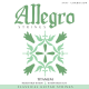 Set Allegro Strings Titanium