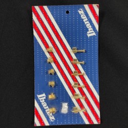 Ibanez YE301G-1 (Parts)