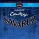 Savarez 510AJP Alliance Cantiga HT