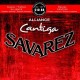 Savarez 510ARP Alliance Cantiga MT