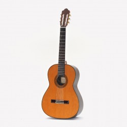 GUITARRA ESTEVE 9CB