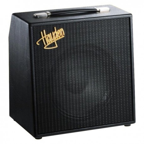 Hayden Petite 5W Combo