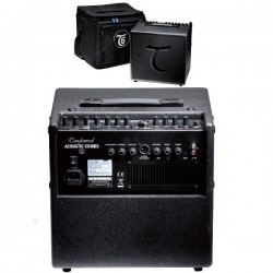 Amplificador "TANGLEWOOD" T-6 60W Con Funda