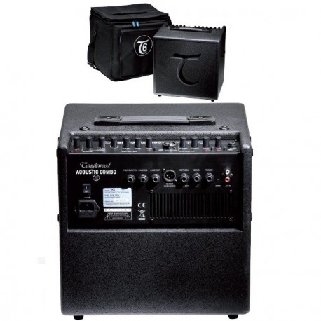 Tanglewood T-6 60W Amplificador Con Funda