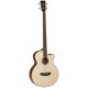 Tanglewood Bajo Acústico TAB1CE Serie Evolution Electrificada