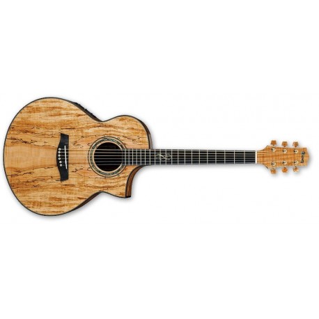 Ibanez Guitarra Acústica EW50SME-NT