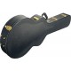 Ibanez AFS-C