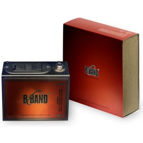 B-Band B-Box