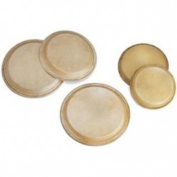 Parche Remo Coated Ambassador BA0116