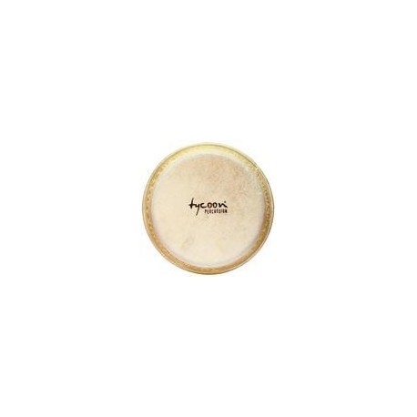 Parche Remo Coated Ambassador BA0116