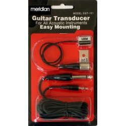 Leem EGT-101 pastilla para instrumentos acústicos