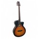 TANGLEWOOD DISCOVERY DBT SFCE DVB SUNBURST