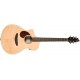 Breedlove Passport Plus Concierto Natural Previo Con Afinador