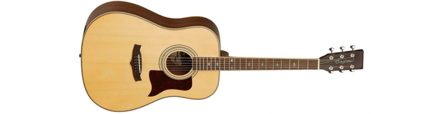 Guitarras Ac&uacute;sticas