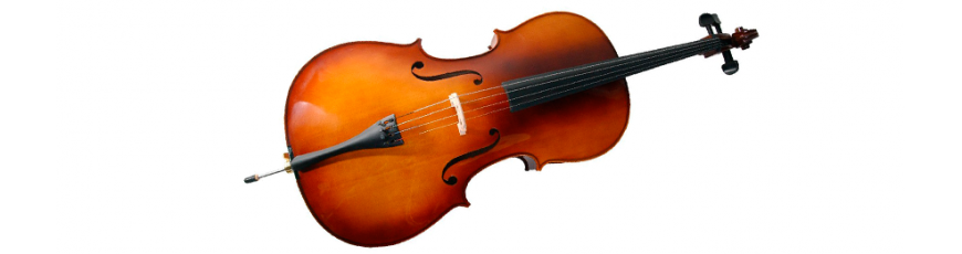 Violoncelles