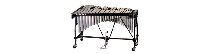 Percusi&oacute;n Sinf&oacute;nica